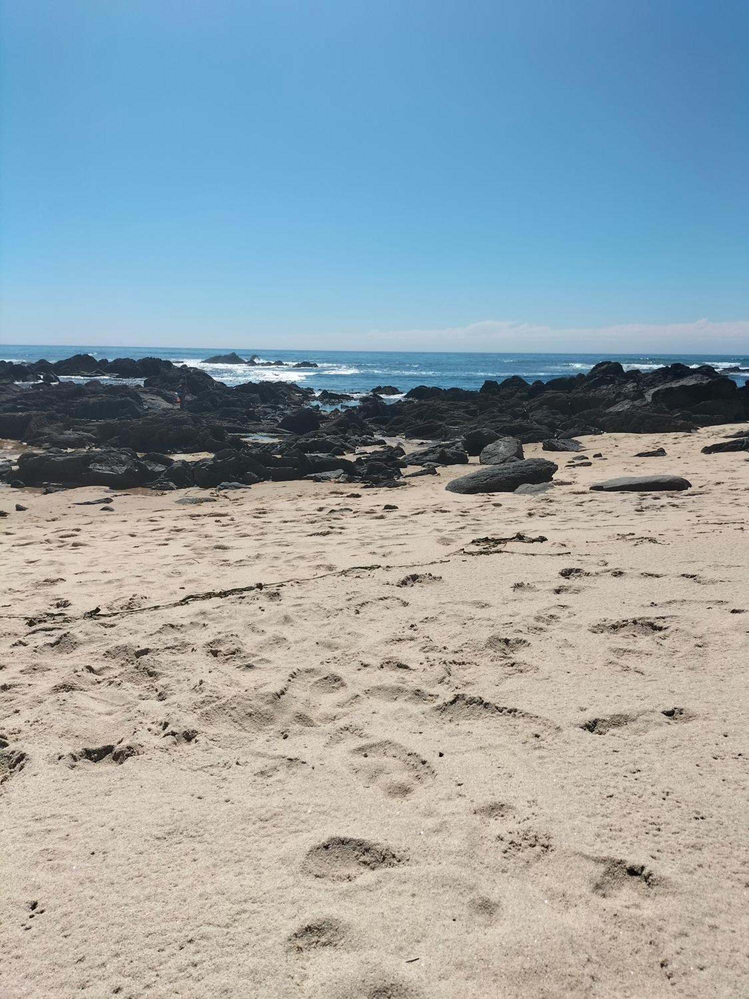Casa De Madeira E Pedra Villa Afife Kültér fotó